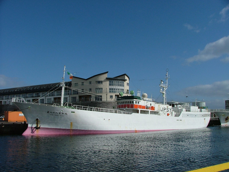 Taiwa Maru No. 8